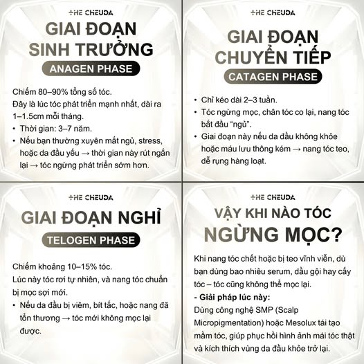 580565738 122316514796008372 4863817257634408068 n