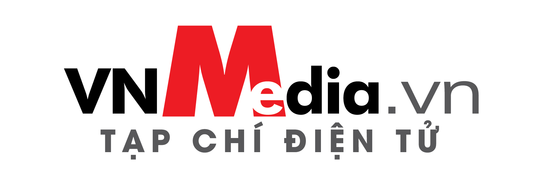 logo vnmedia tchi dtu 28 3 01 3